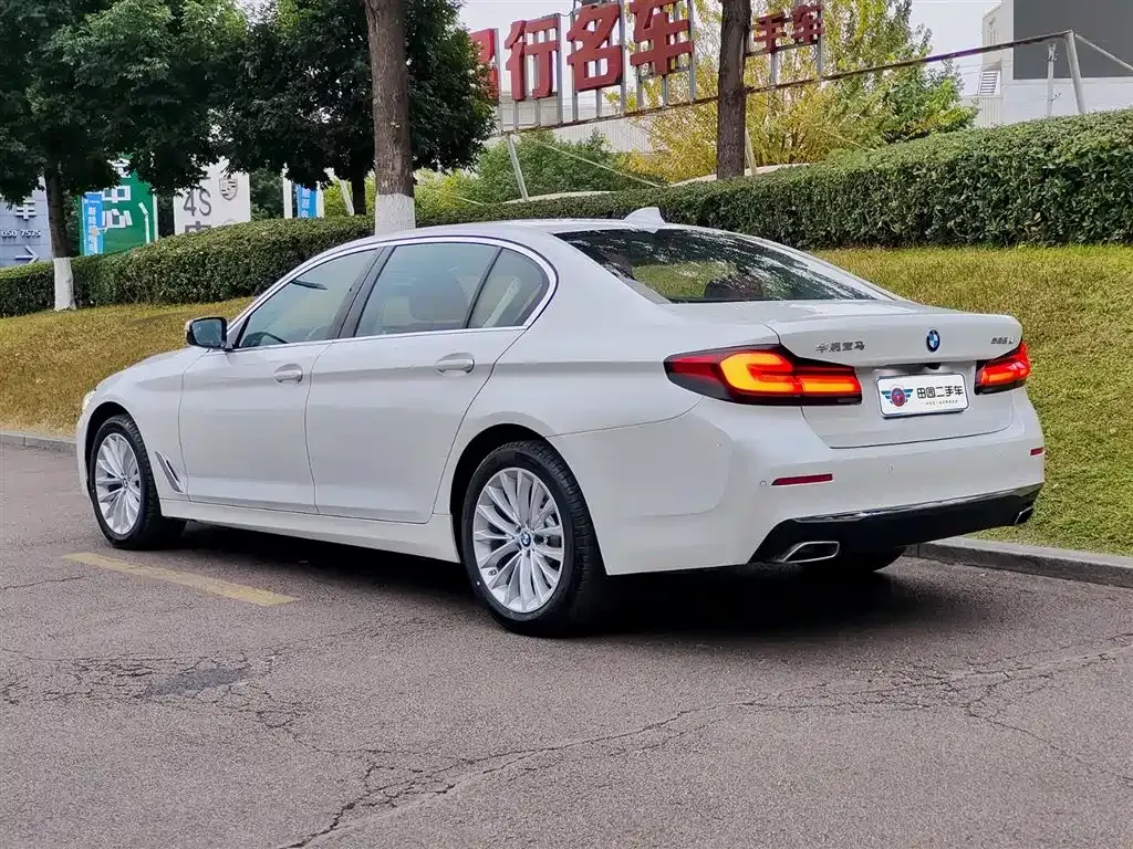 BMW 5 Series 2024 из CN, фото 10