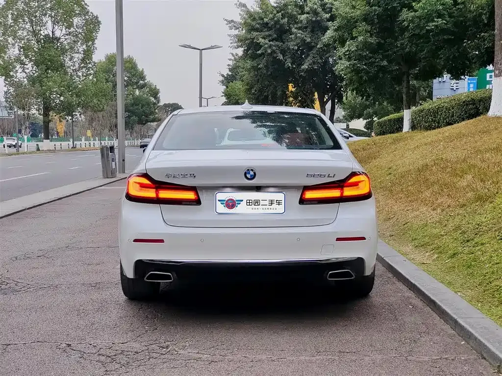 BMW 5 Series 2024 из CN, фото 7