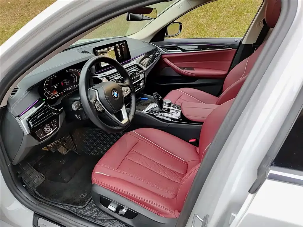 BMW 5 Series 2024 из CN, фото 8