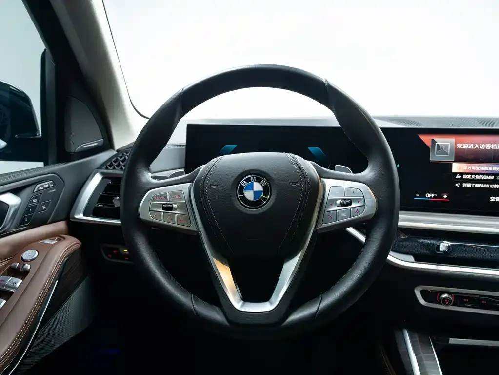 BMW X7 2023 из CN, фото 8