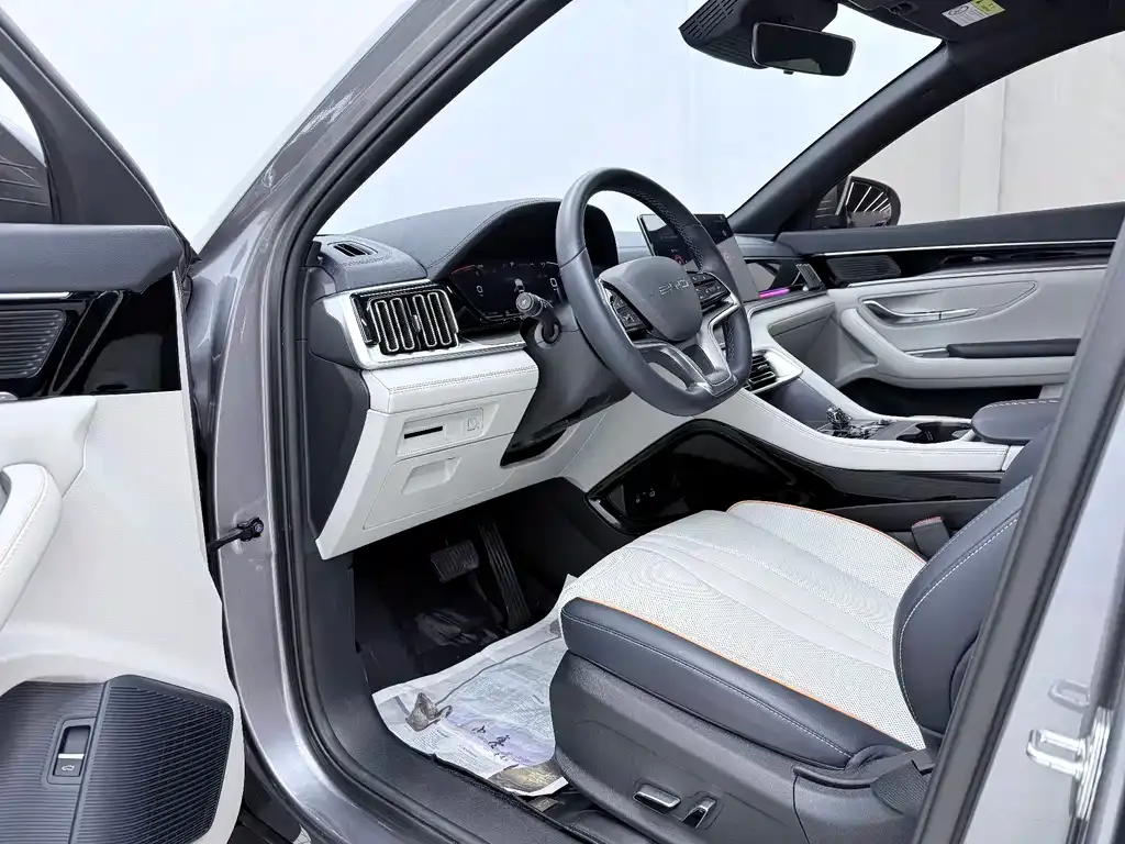 BYD PLUS New Energy 2023 из CN, фото 8