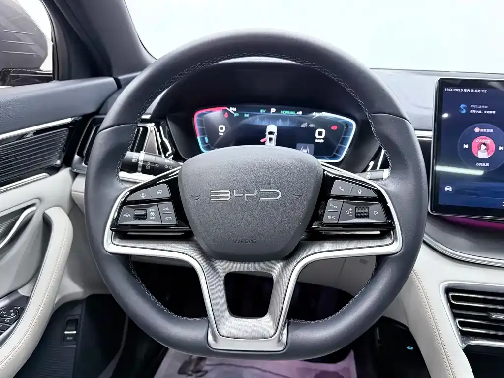 BYD PLUS New Energy 2023 из CN, фото 2