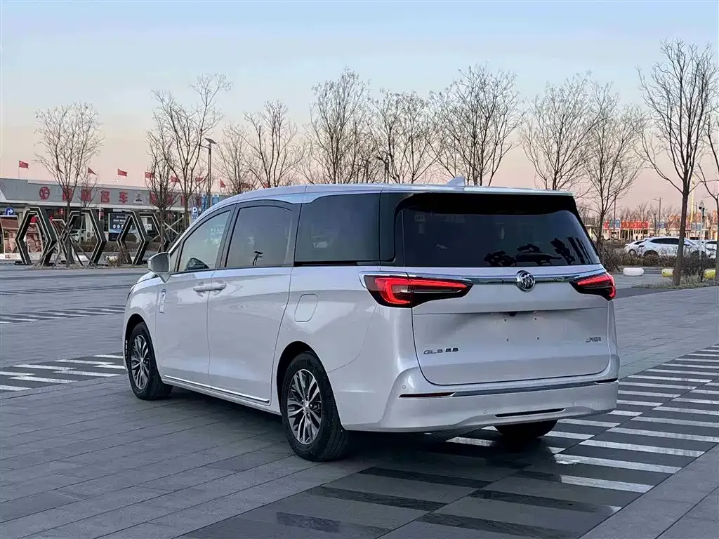 Buick GL8 2023 из CN, фото 9