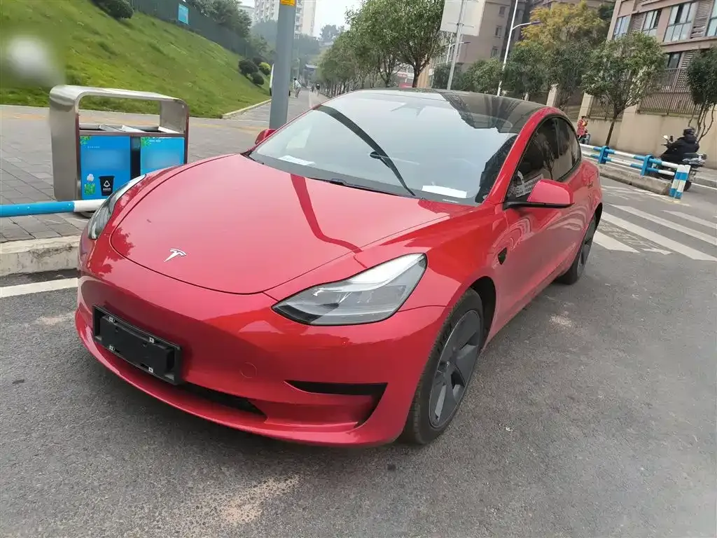 Tesla Model 3 2021 из CN, фото 2