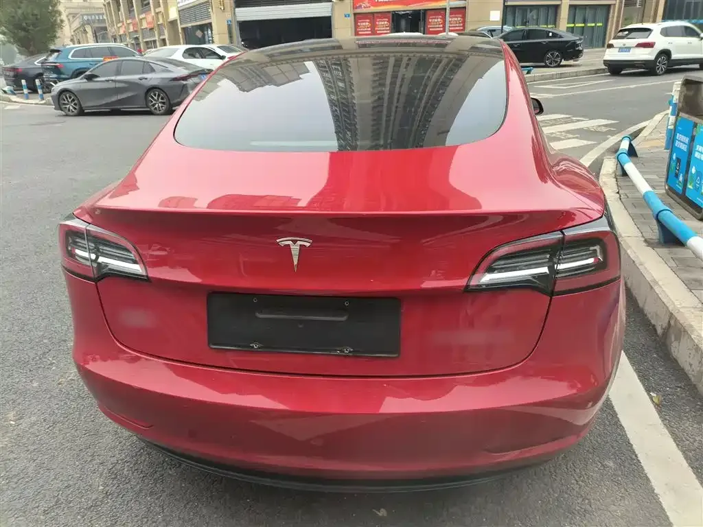 Tesla Model 3 2021 из CN, фото 6