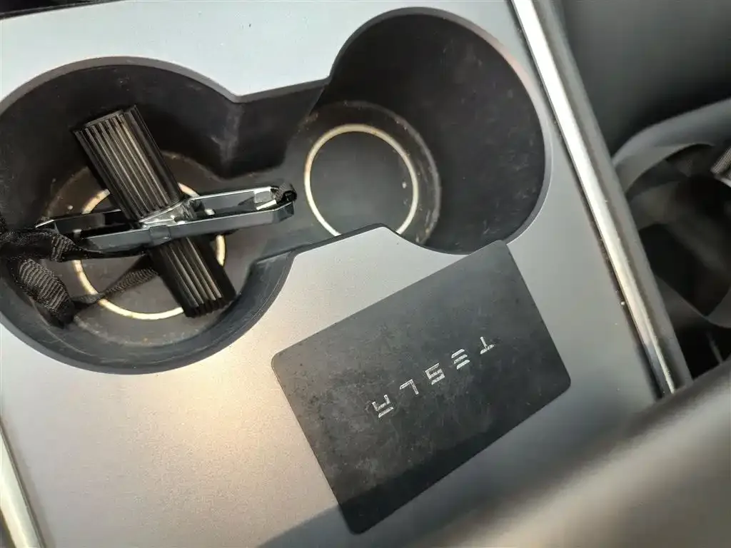 Tesla Model 3 2021 из CN, фото 9