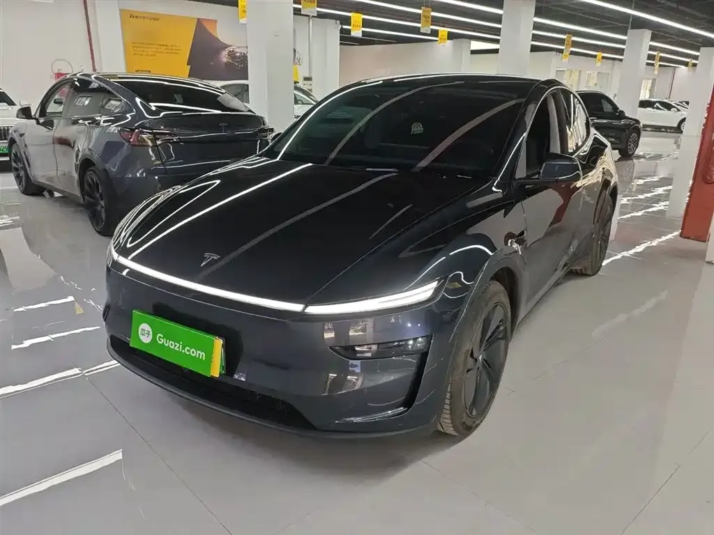 Tesla Model Y — фото 6