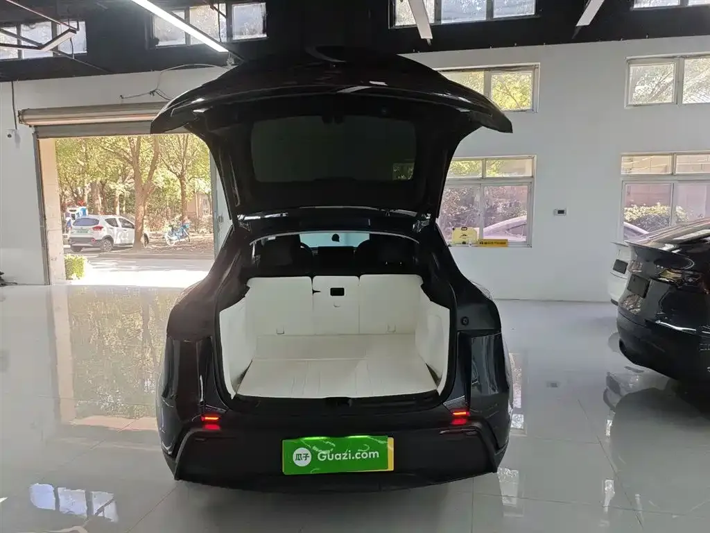 Tesla Model Y — фото 2