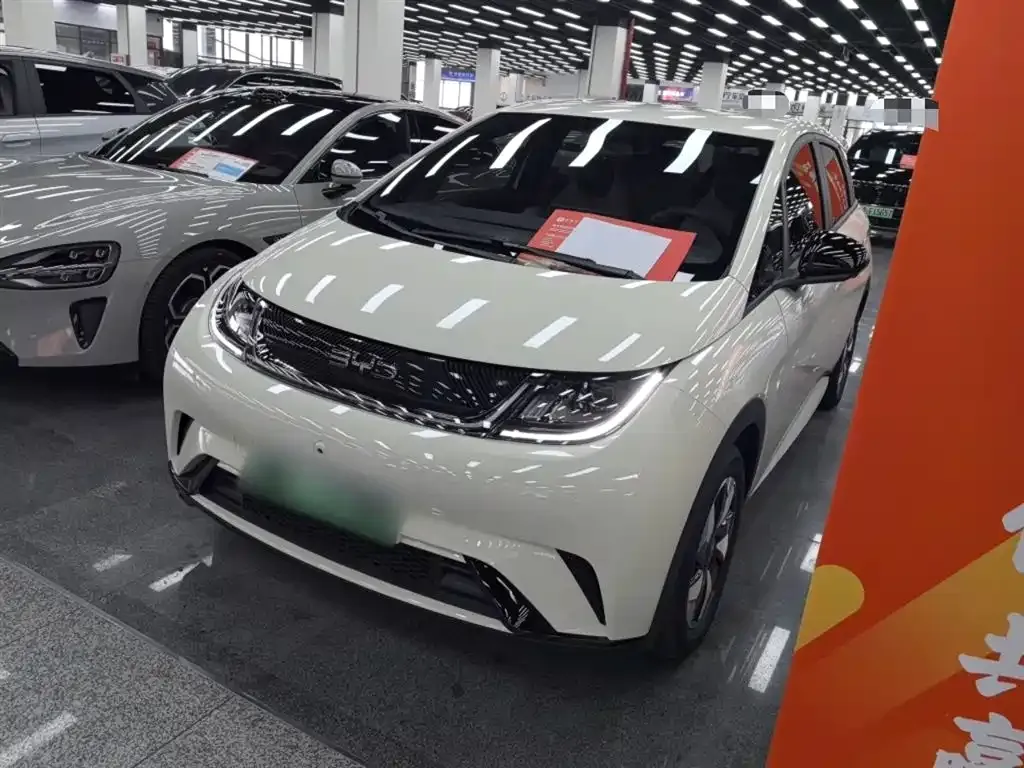 BYD Dolphin 2024 из CN, фото 1