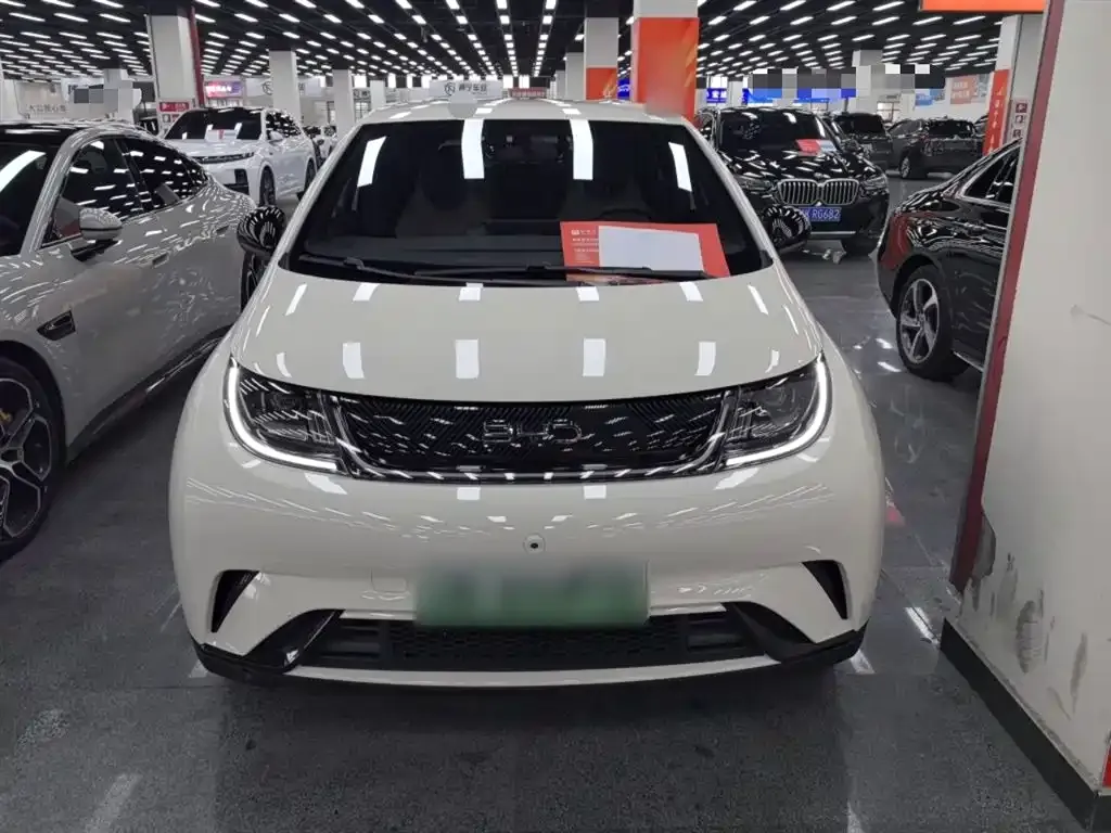 BYD Dolphin 2024 из CN, фото 2