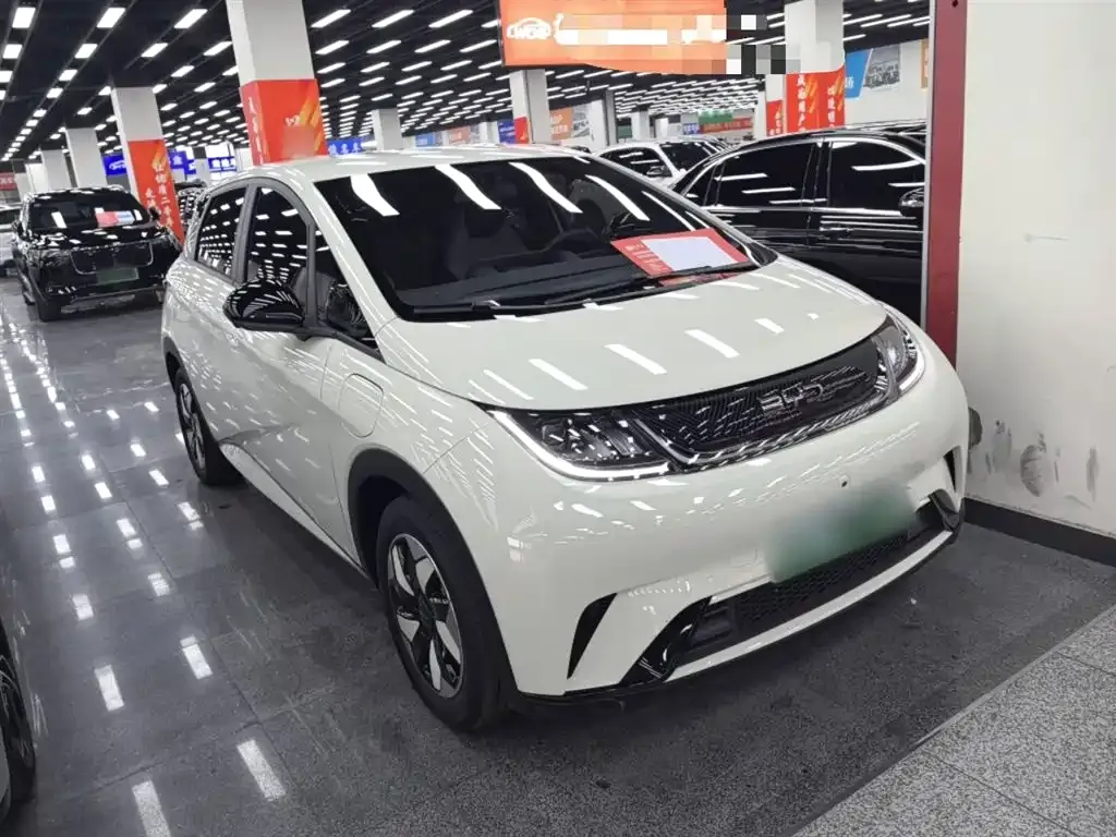 BYD Dolphin 2024 из CN, фото 9