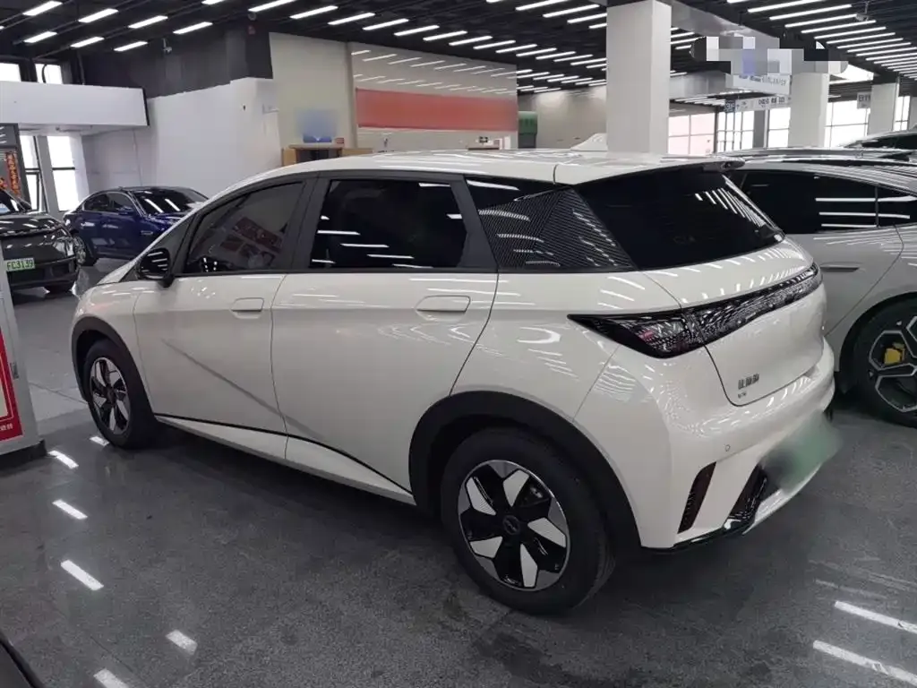 BYD Dolphin 2024 из CN, фото 10