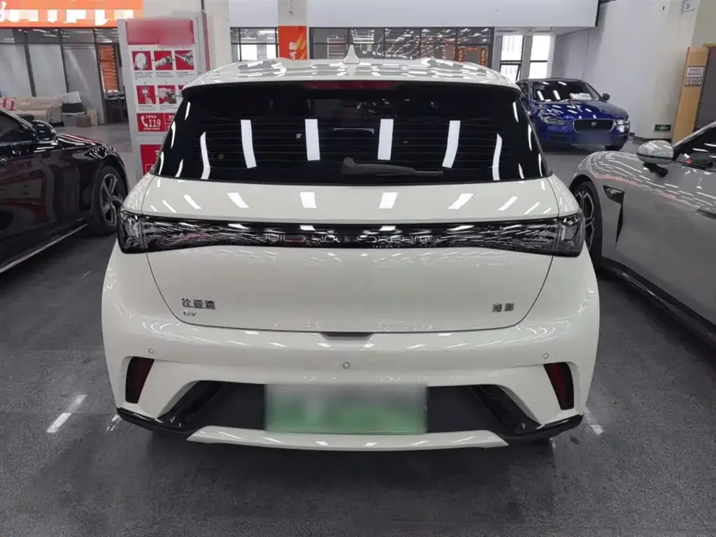 BYD Dolphin 2024 из CN, фото 7