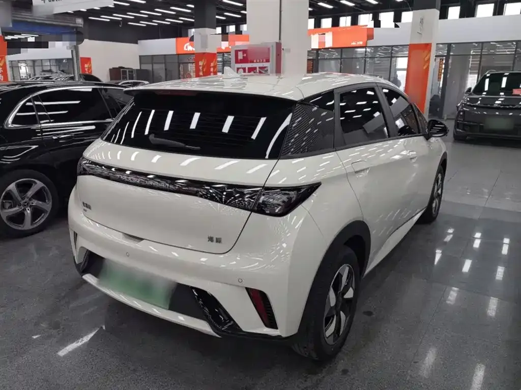 BYD Dolphin 2024 из CN, фото 6