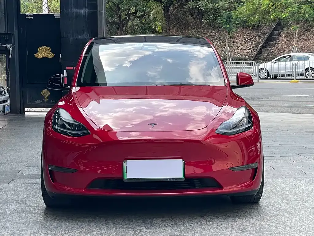 Tesla Model Y — фото 9