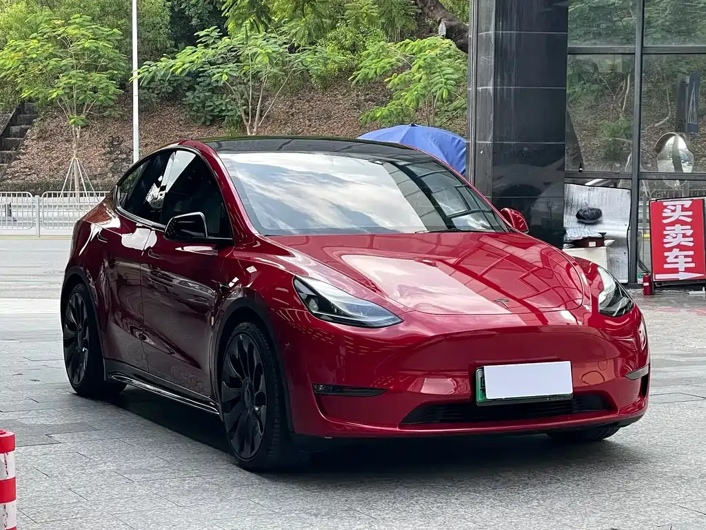 Tesla Model Y — фото 10