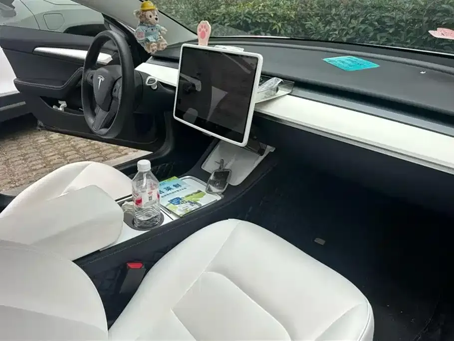 Tesla Model 3 2023 из CN, фото 3