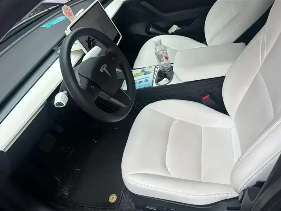 Tesla Model 3 2023 из CN, фото 4