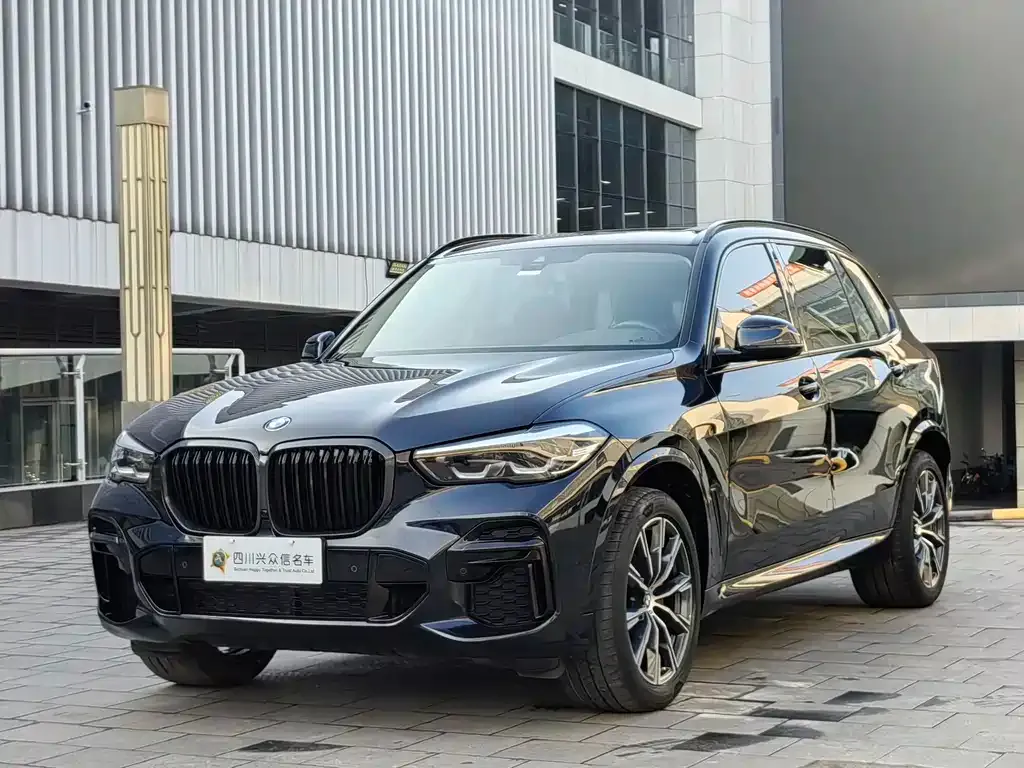 BMW X5 2022 из CN, фото 3