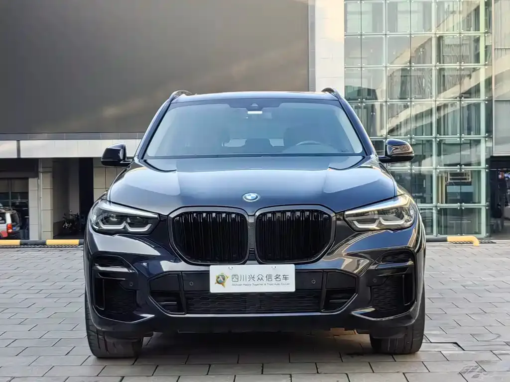 BMW X5 2022 из CN, фото 2