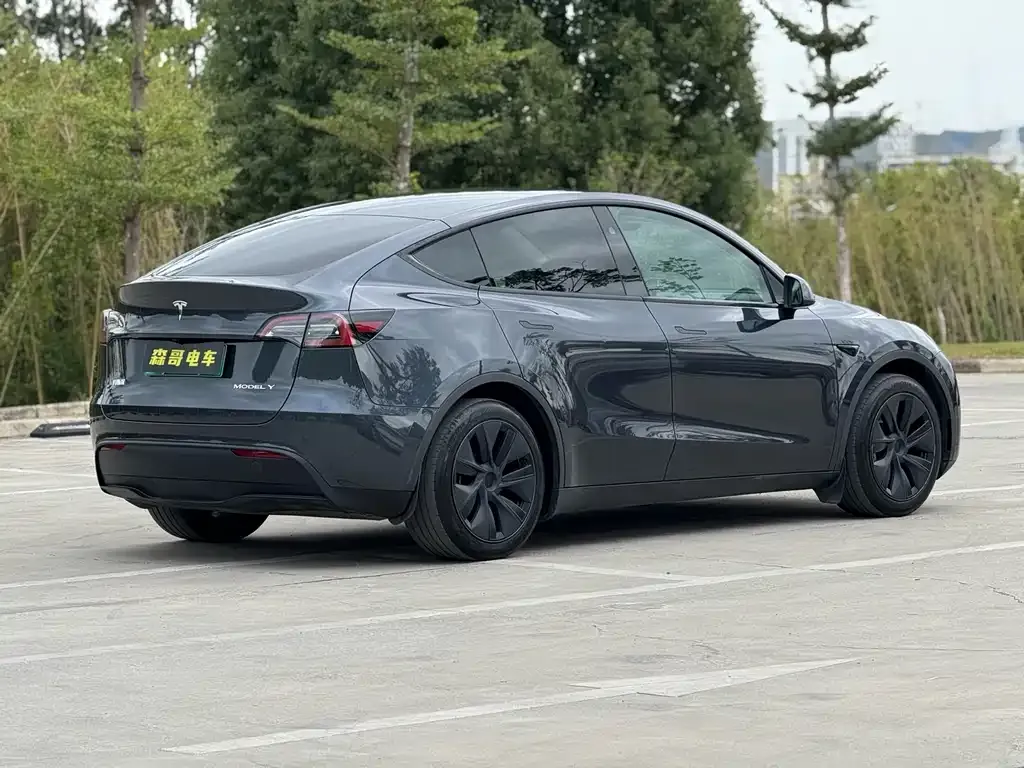 Tesla Model Y 2024 из CN, фото 7