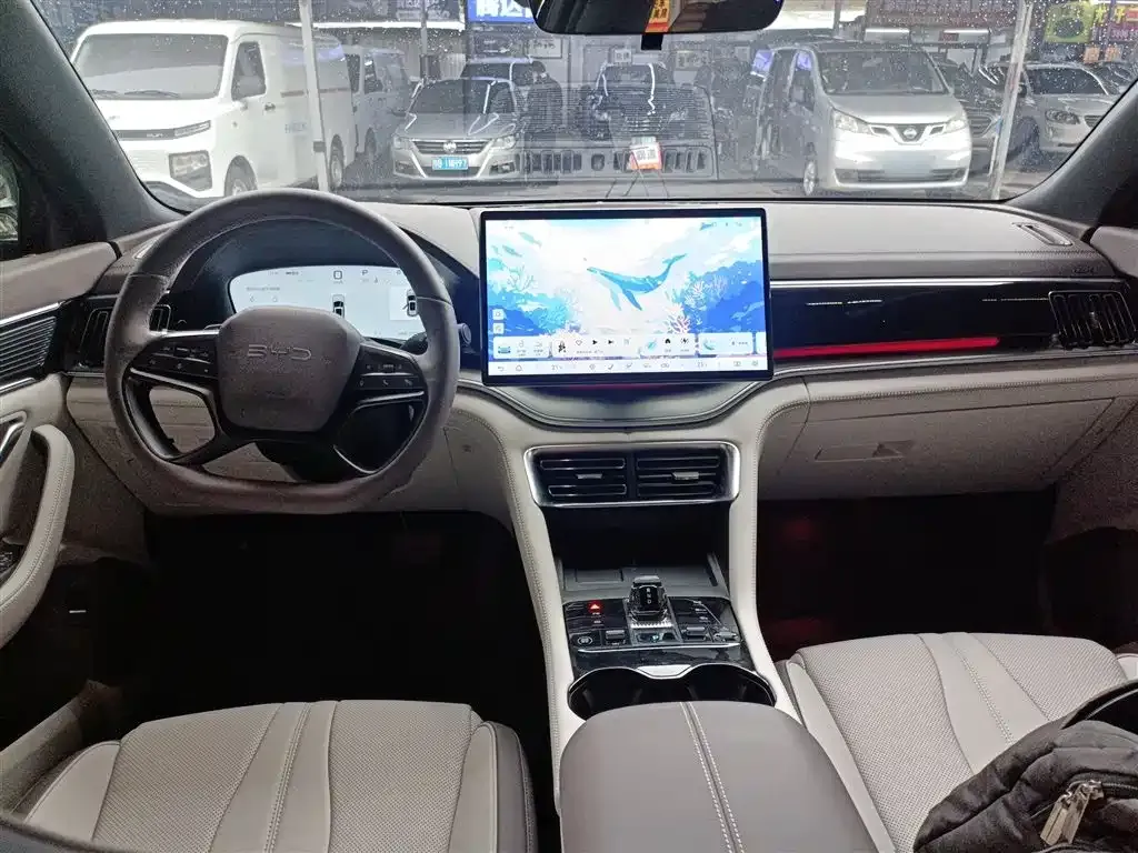 BYD PLUS New Energy 2025 из CN, фото 10