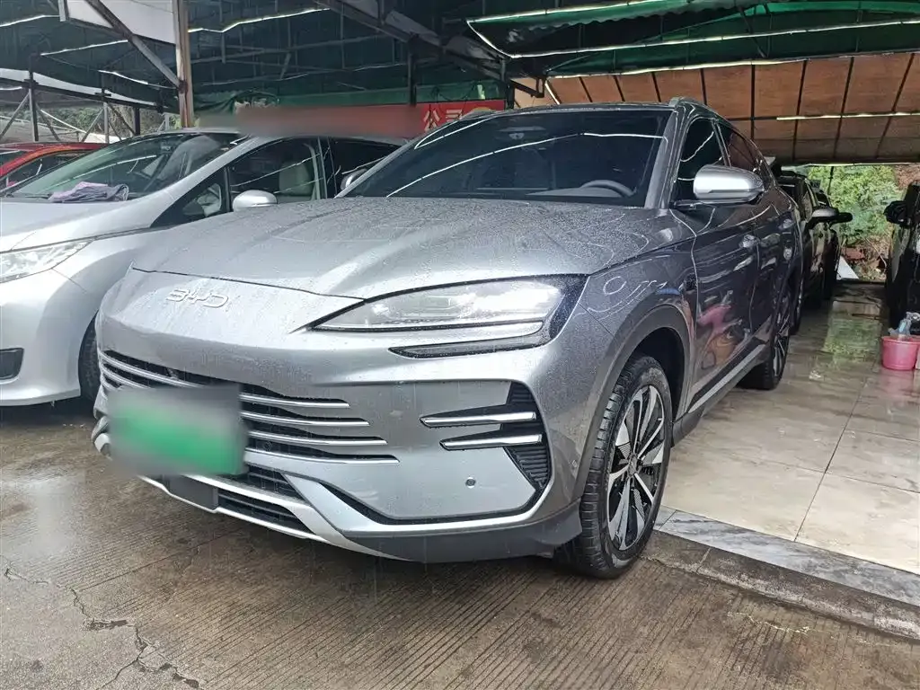 BYD PLUS New Energy 2025 из CN, фото 2