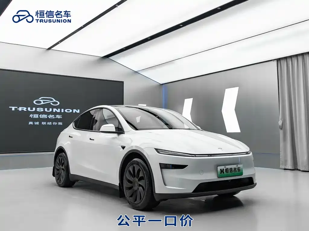 Tesla Model Y 2025 из CN, фото 9