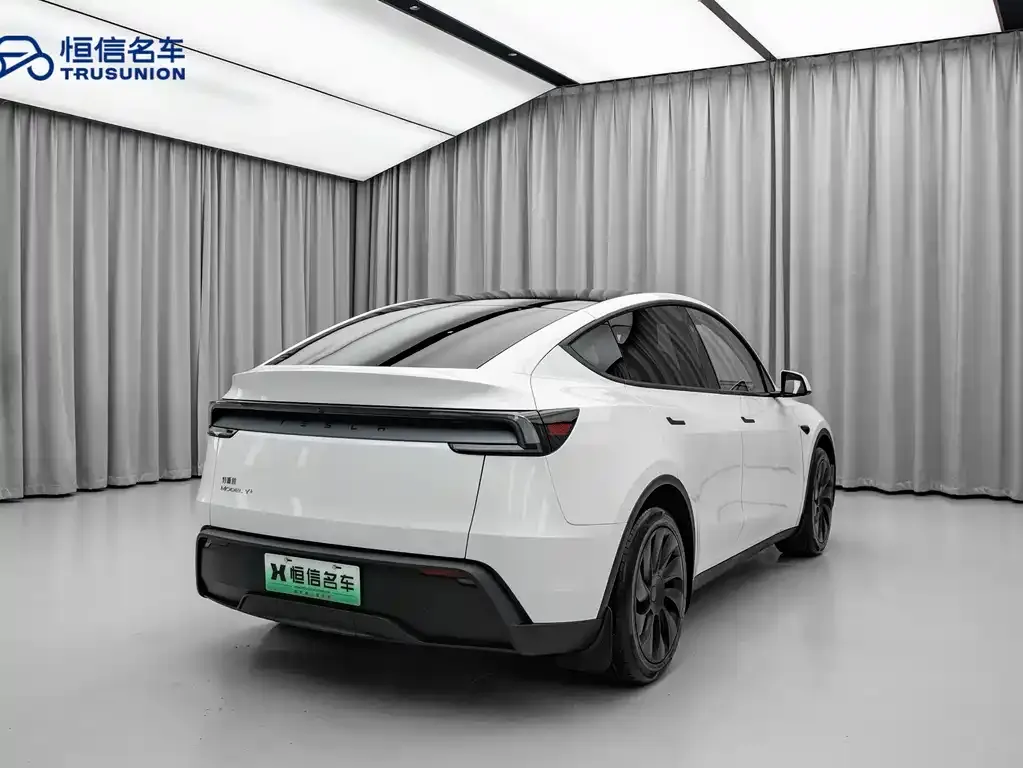Tesla Model Y 2025 из CN, фото 4
