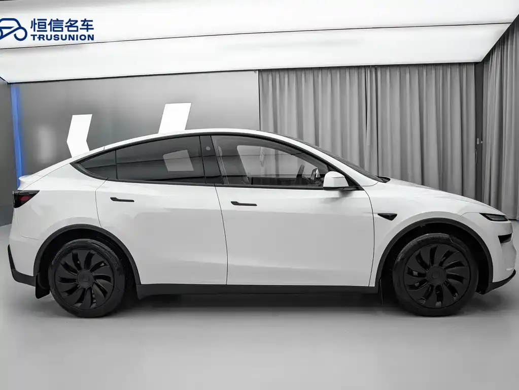Tesla Model Y 2025 из CN, фото 7