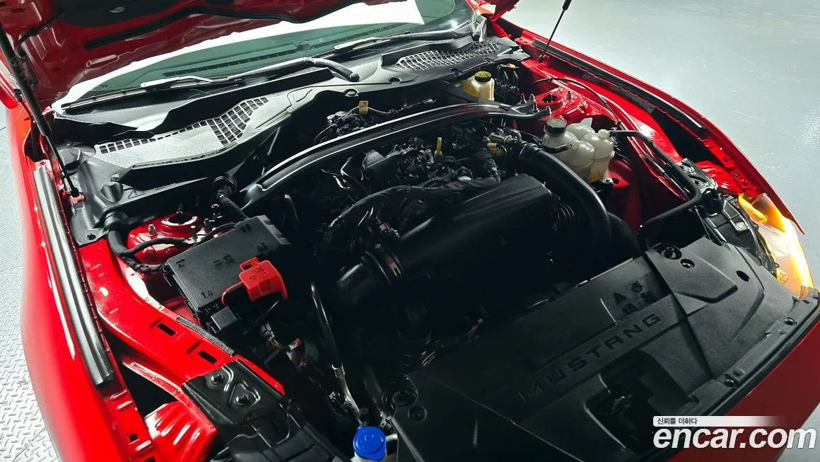 Ford Mustang 2024 из KR, фото 6