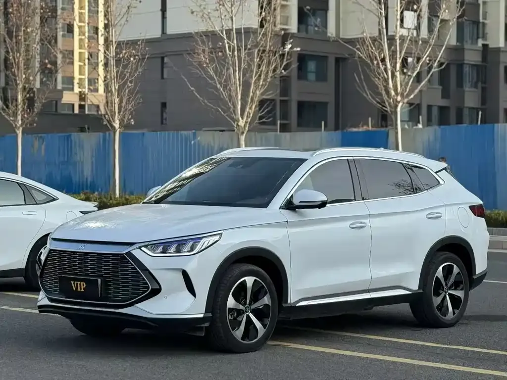 BYD PLUS New Energy — фото 1