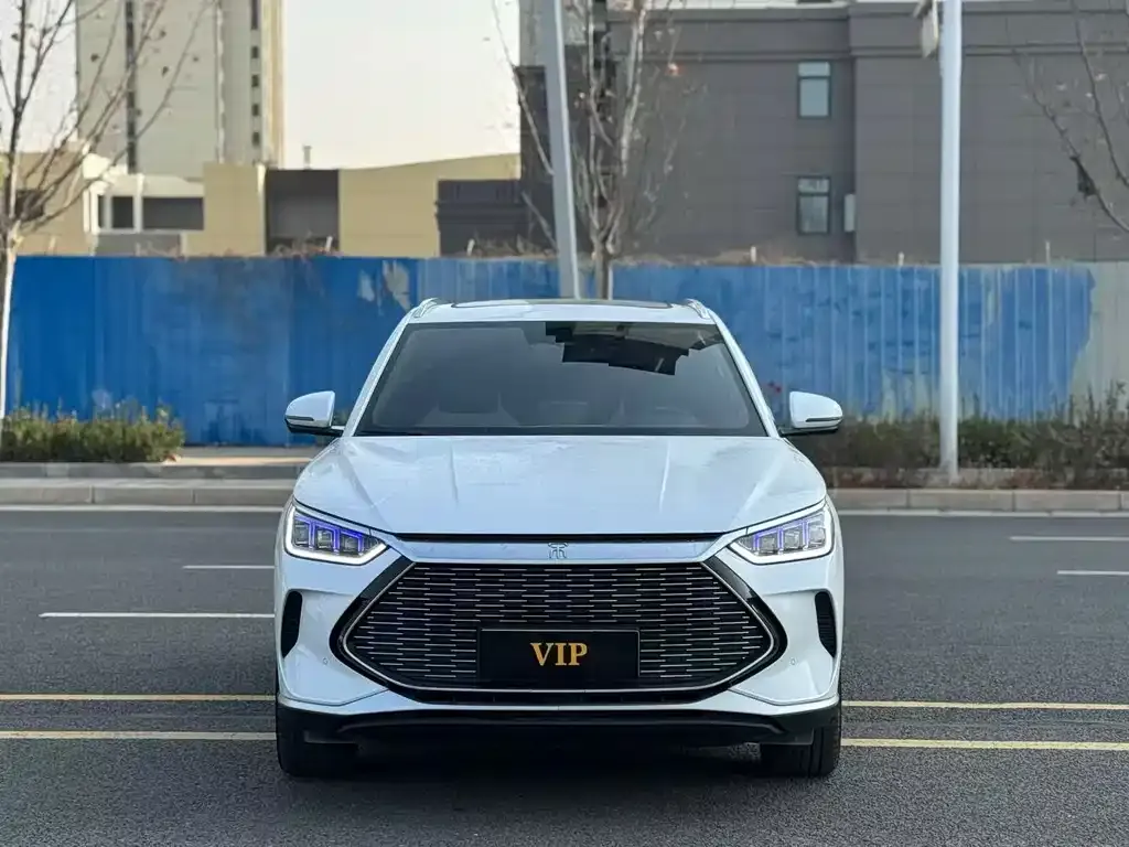BYD PLUS New Energy — фото 8