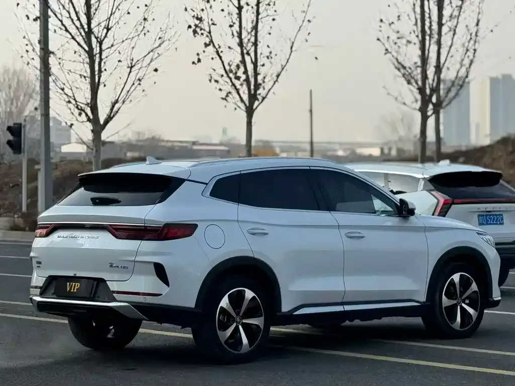 BYD PLUS New Energy — фото 3