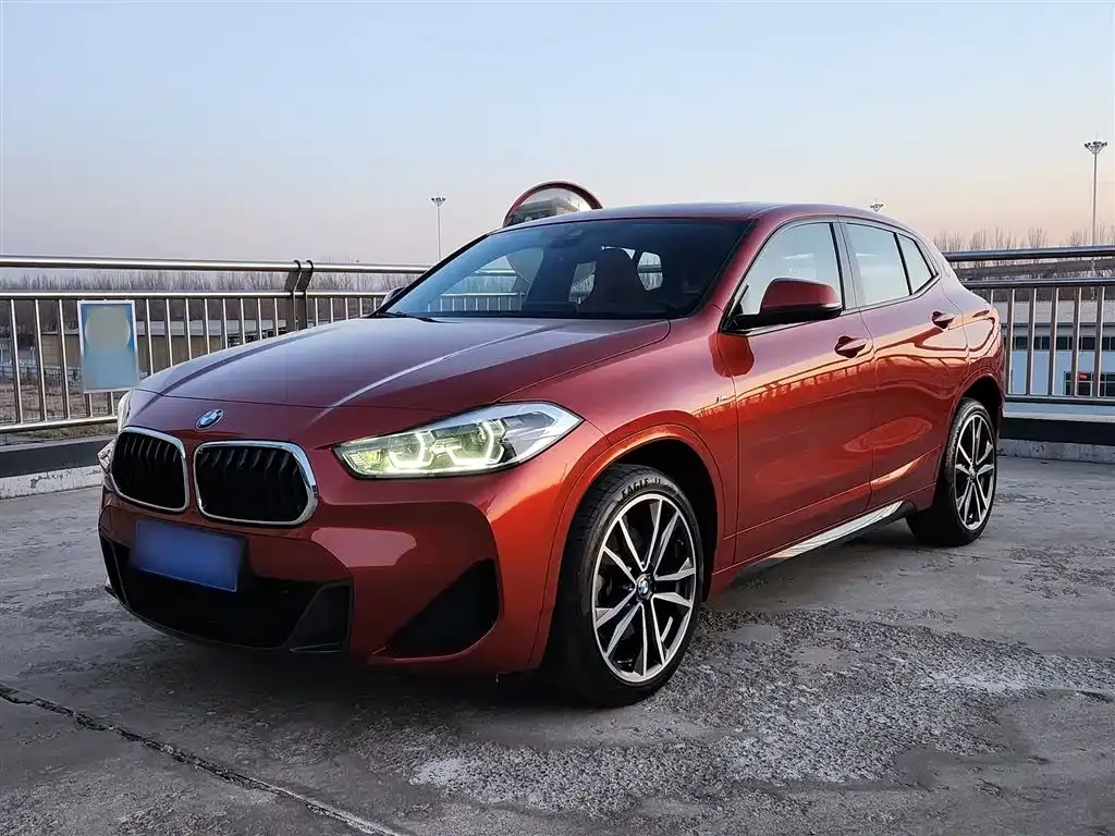 BMW X2 2021 из CN, фото 3