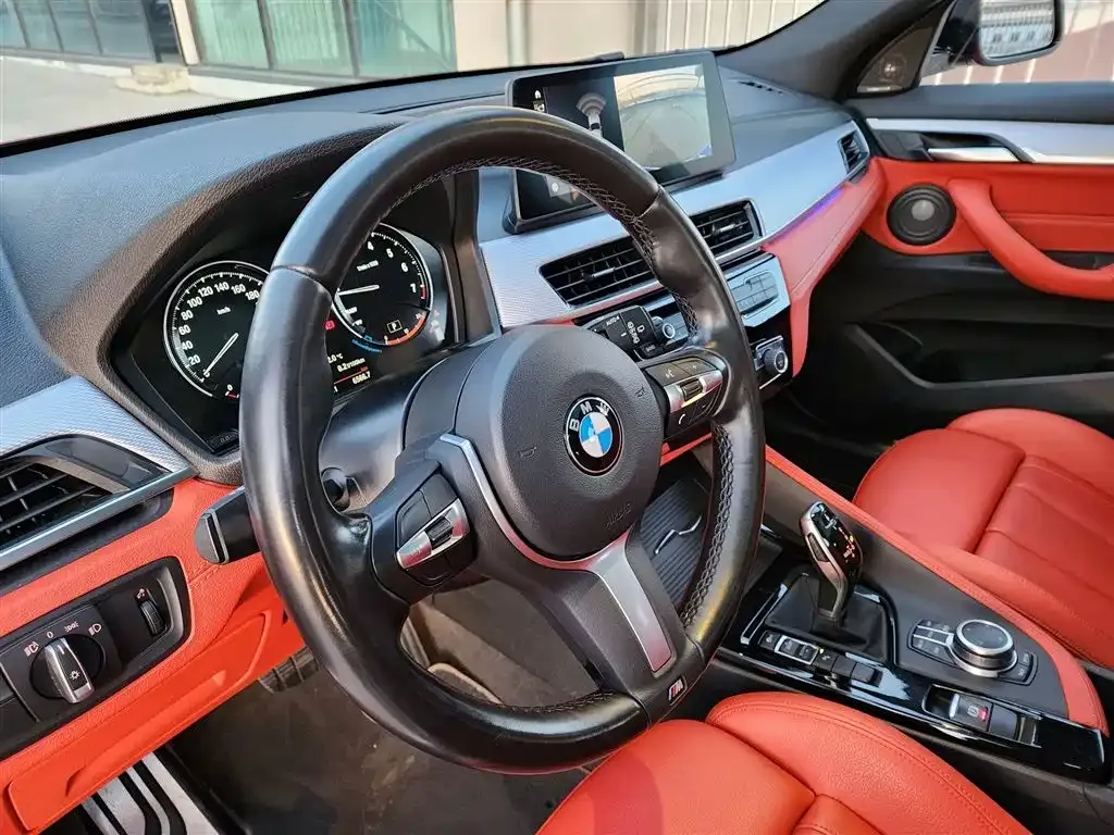 BMW X2 2021 из CN, фото 6