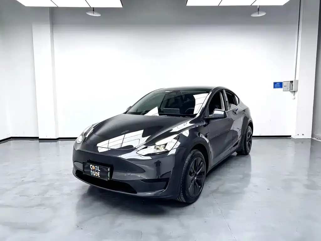 Tesla Model Y — фото 8