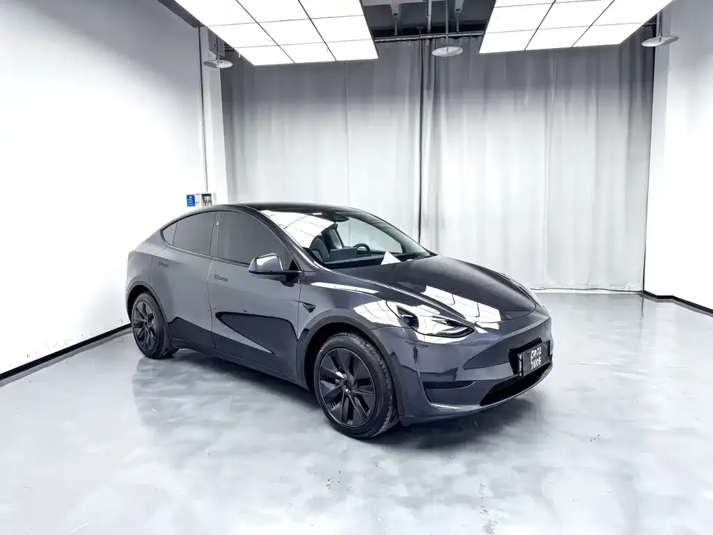 Tesla Model Y — фото 9