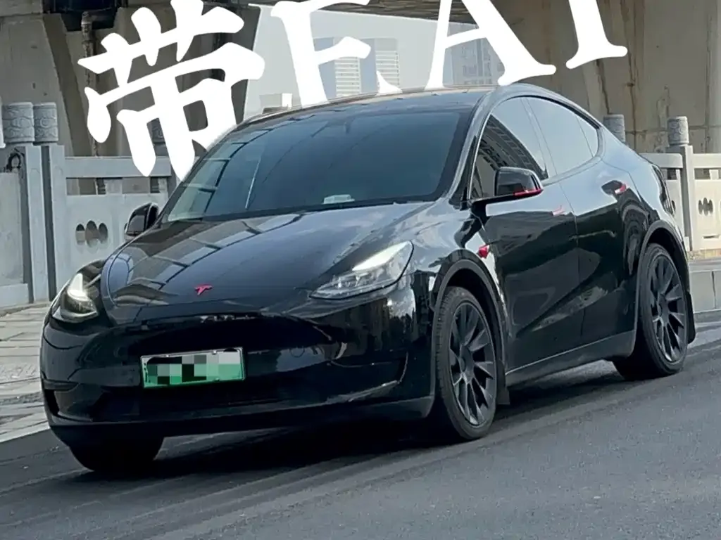 Tesla Model Y — фото 1