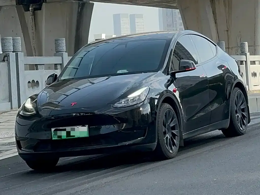 Tesla Model Y — фото 2