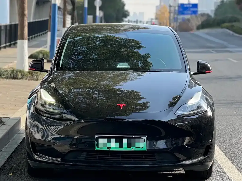 Tesla Model Y — фото 3