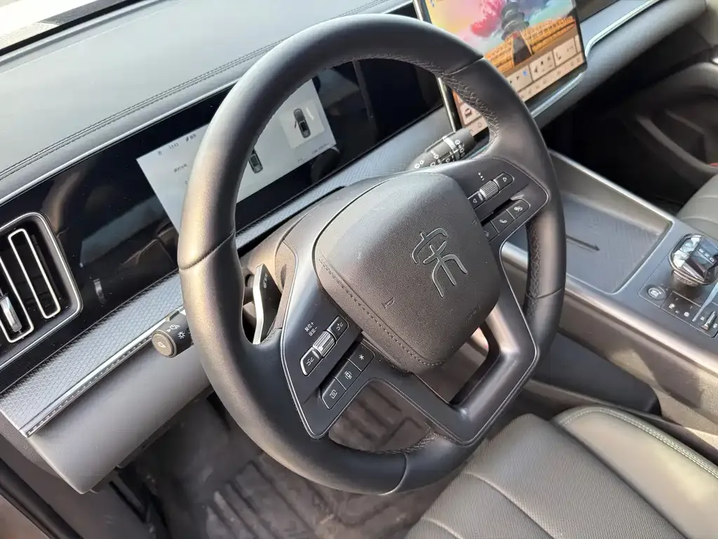 BYD Pro New Energy 2025 из CN, фото 7