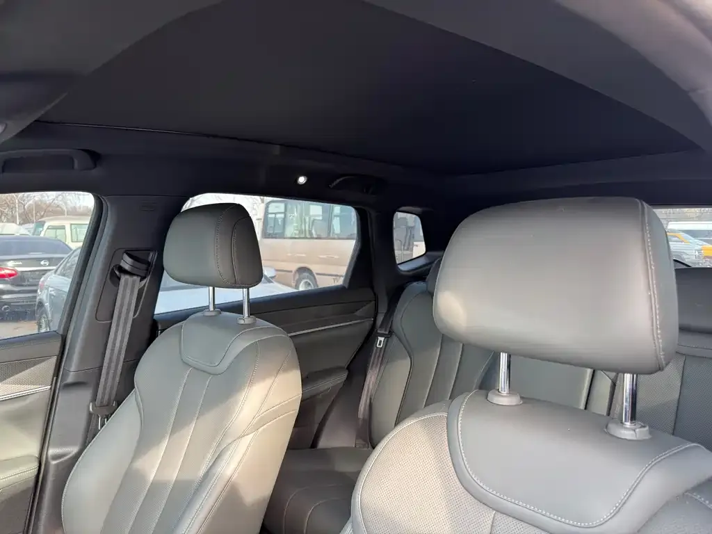 BYD Pro New Energy 2025 из CN, фото 2