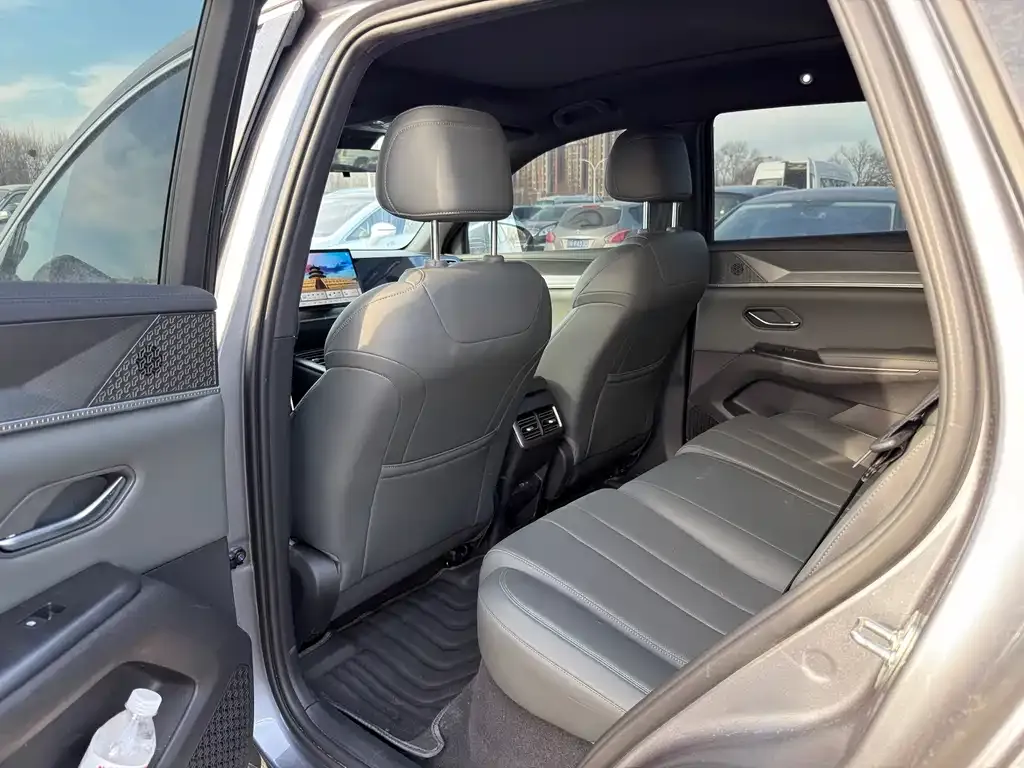 BYD Pro New Energy 2025 из CN, фото 4