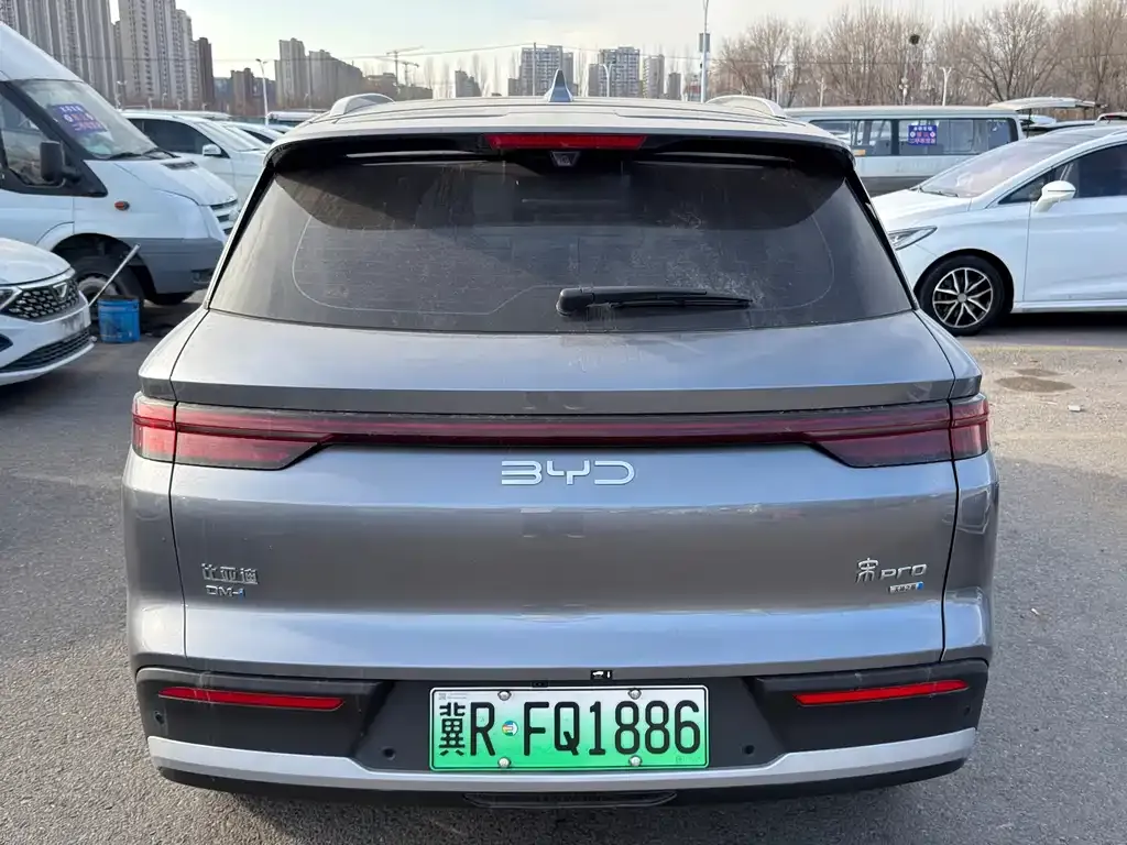 BYD Pro New Energy 2025 из CN, фото 3