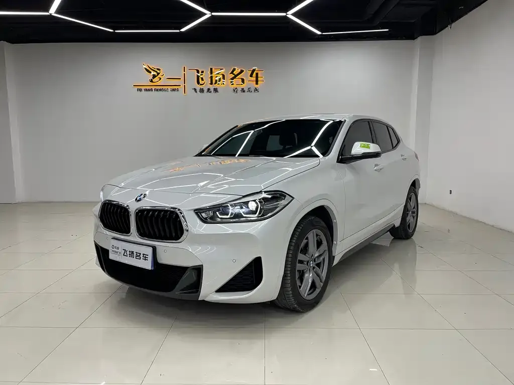 BMW X2 2022 из CN, фото 1