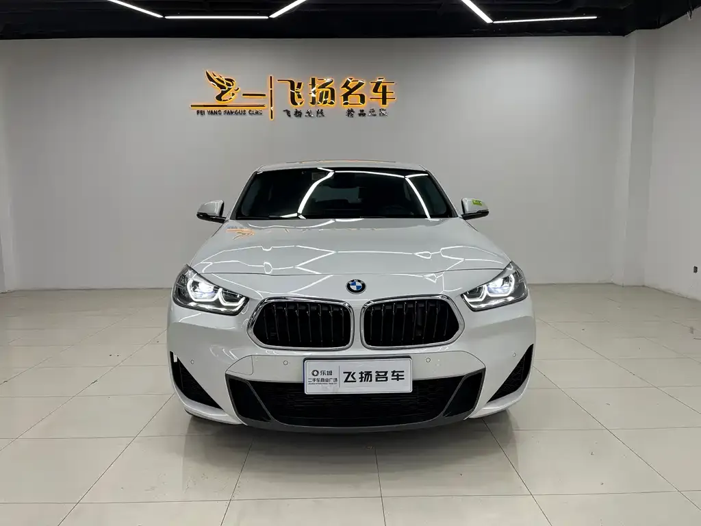BMW X2 2022 из CN, фото 10