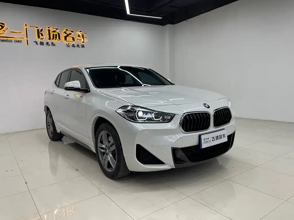 BMW X2 2022 из CN, фото 9
