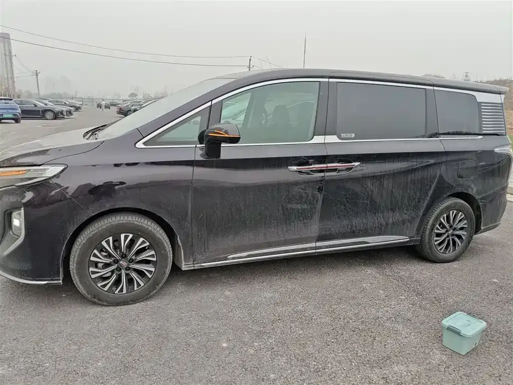 Hongqi HQ9 PHEV 2024 из CN, фото 3