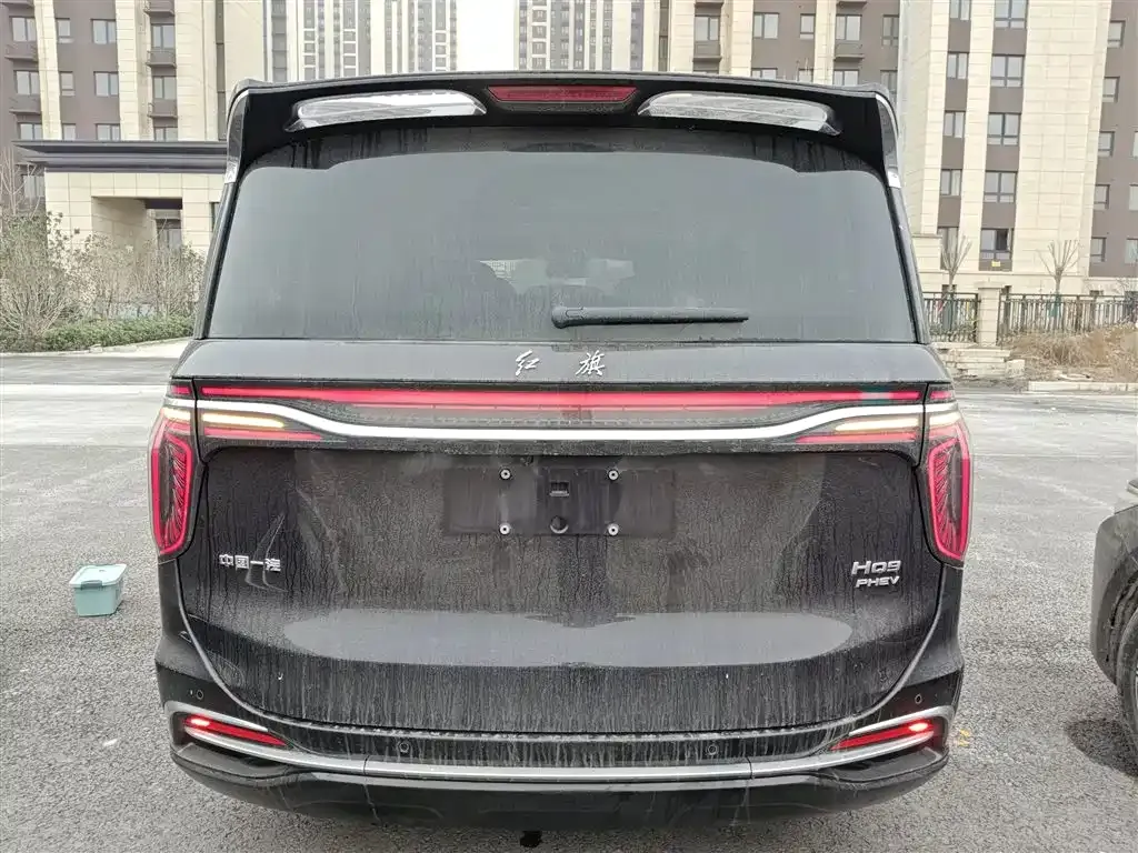 Hongqi HQ9 PHEV 2024 из CN, фото 9